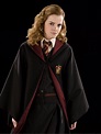 Pin by Mynor Castillo on Emma Watson | Hermione granger costume, Harry ...
