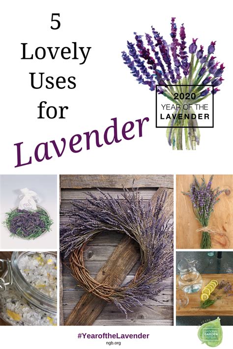 5 Lovely Uses For Lavender Herb Garden Design Diy Garden Lavender