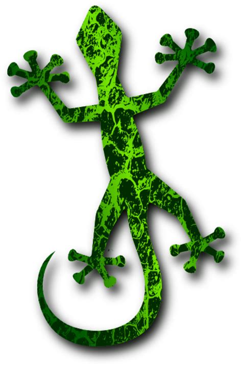 Gecko 4 Clip Art At Vector Clip Art Online Royalty Free