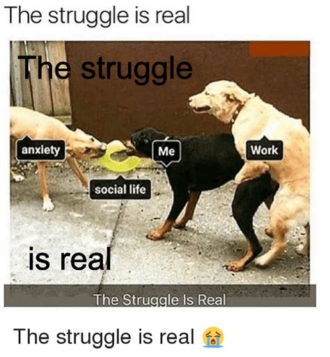 List Pictures The Struggle Is Real Pictures Updated