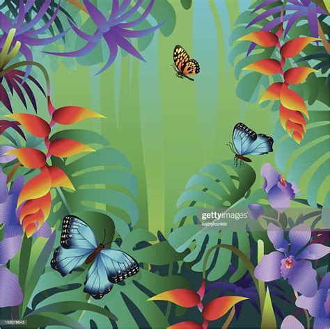 Butterfies In A Tropical Rainforest High Res Vector Graphic Getty Images