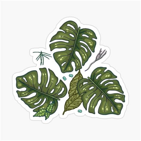 Green Summer Jungle Sticker For Sale By Smalldrawing Nature