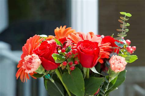 Finding The Best Floral Design Schools And Certificates A Full Guide