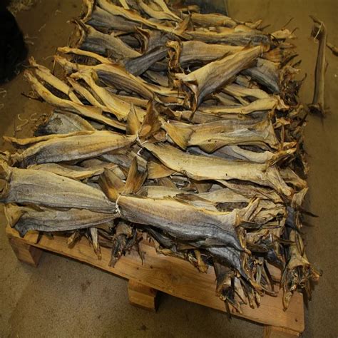 100 Dry Stock Fish From Norway Greece Australia Buy Dried Salted