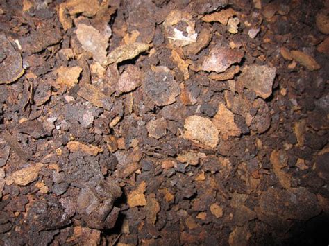 Black walnut hulls have several commercial applications in the. Black Walnut Hulls, coarsely ground | Long Ridge Natural Dyes