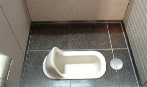 How To Use A Squat Toilet With Bad Knees 4 Amazing Tips Toilet Bazar