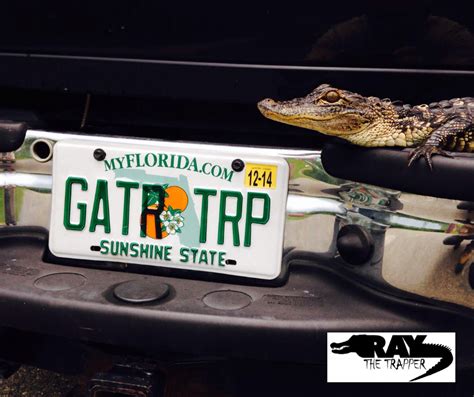 About Florida Ray The Trapper