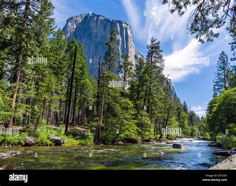 California Merced River And El Capitan From Southside Drive In