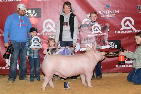 Reserve Champion Yorkshire - Lackey Livestock