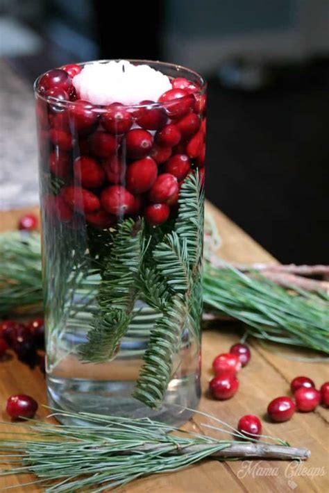 Simple Cranberry Evergreen Jars Holiday DIY Decor  Mama Cheaps