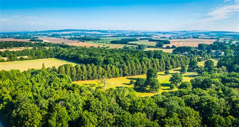 Aerial Photograph Over Green Woodland Farm Pasture Countryside Crops