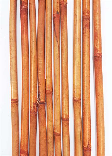 Greenfloralcrafts Decorative Bamboo Poles 57 Inches Nearly 5 Ft Tall
