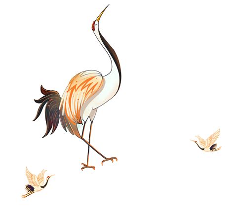 Big Bird Animal Crane Big Bird Crane Crane Png Transparent Clipart