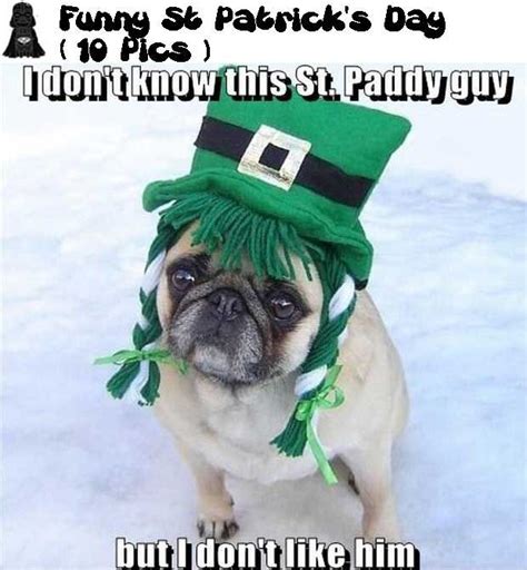 Happy Saint Patricks Day Meme 💖realestate Meme St Patricks Day Real