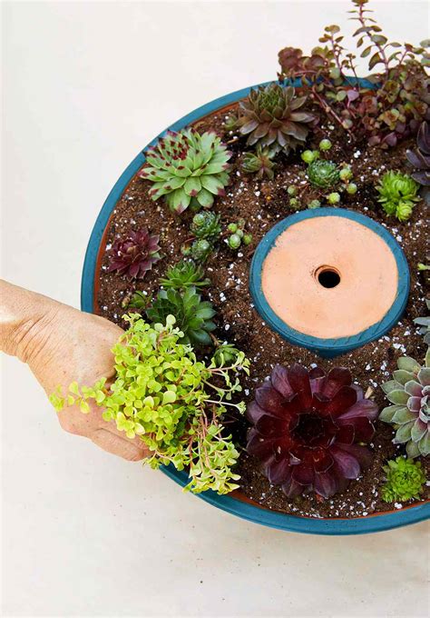 How To Make A Succulent Tower Planter Better Homes And Gardens