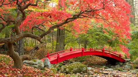 Japanese Garden Wallpapers 65 Images