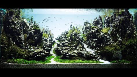 Beautiful Aquascape The Art Of The Planted Aquarium Encrest 90sec