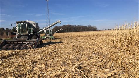 Day 6 Of Corn Harvest 2020 With Gleaner Combines Youtube