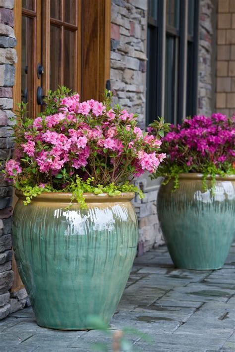 24 Stunning Container Garden Planting Ideas Artofit