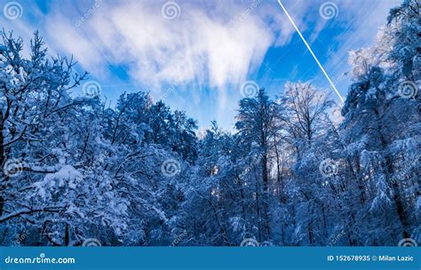 What A Sunrise The Sun Shines Through The Trees Stock Image Image Of