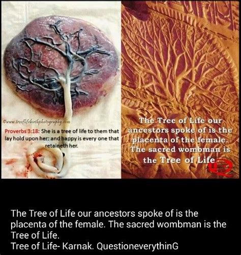 Sacred African Wombman Ancient Knowledge Kemetic Spirituality