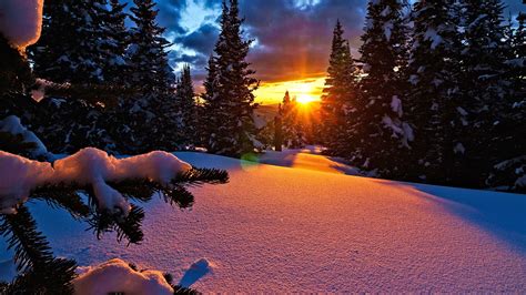 Fresh Snow And Pink Alpenglow Light At Sunset In Mountains Colorado