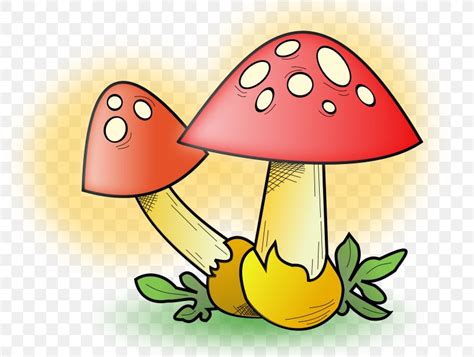 Edible Mushroom Clip Art Png 800x618px Mushroom Art Cartoon