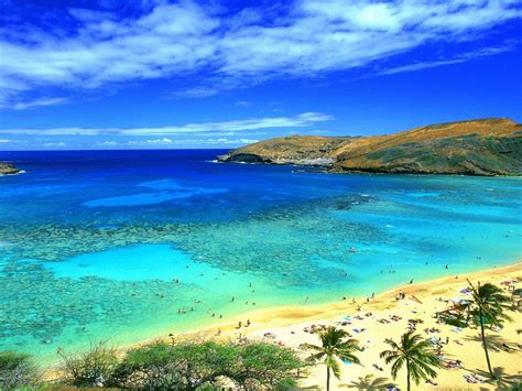Free Download Honolulu Hawaii Beach Wallpaper Wallpapers Com X For Your Desktop