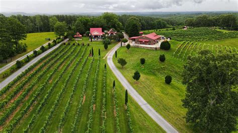 16 Best North Carolina Wineries And Vineyards Lost In The Carolinas