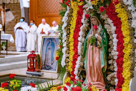 Nuestra Señora De Guadalupe La Estrella De La Nueva Evangelización