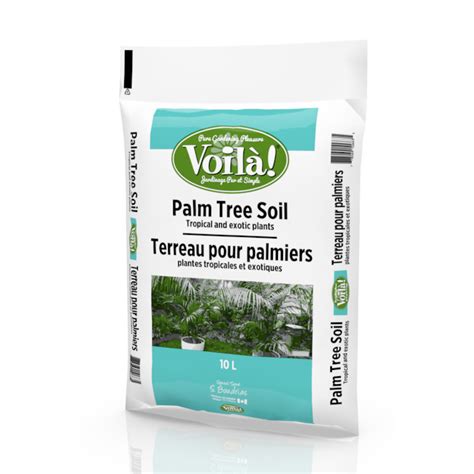 May 09, 2021 · what is the best soil for palm trees? 10-L Palm Tree Soil | RONA