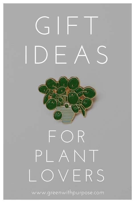 Flowers, gift baskets, roses, teddy bears 26 Ideas for Gifts for Plant Lovers | Plants, Gifts ...