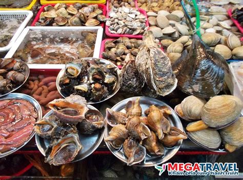 Top Chợ Hải Sản Tươi Sống Giá Rẻ ở Đồ Sơn Megatravel Kênh Thông