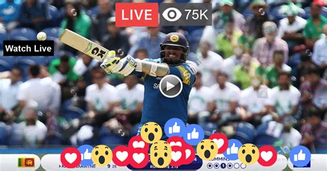 🔴 Live Cricket Match Today Gtv Live Cricket Gazi Tv Live Cricket