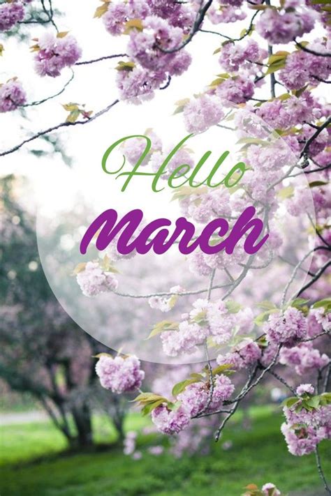 Hello March Hello March Hello March Images March Month