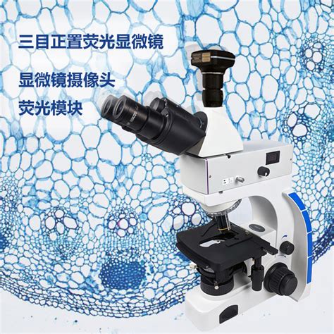 正置led荧光显微镜ub203i Fl 参数 价格 仪器信息网