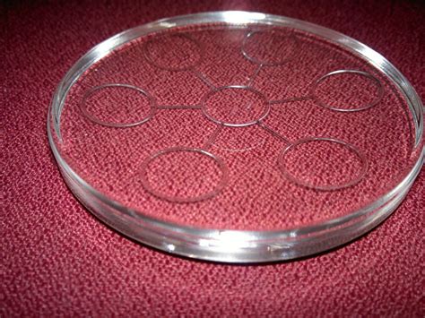 Vida terkejut elyana hidap kanser limfoma tahap 4. Batu Delima Zamrud: Bio Disc - HARGA PROMOSI RM1300 ...