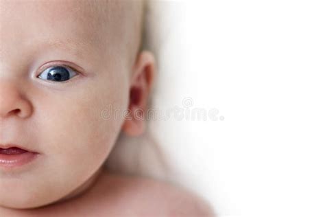 Baby Infant Close Up Portrait Happy Baby Face Over Light Background