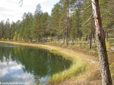 The Rokua National Park Northern Ostrobothnia Finland Finland