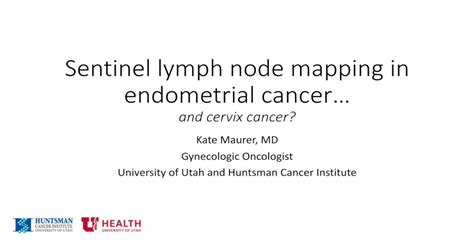 Sentinel Lymph Node Mapping In Endometrial Cancer · Uncertainty