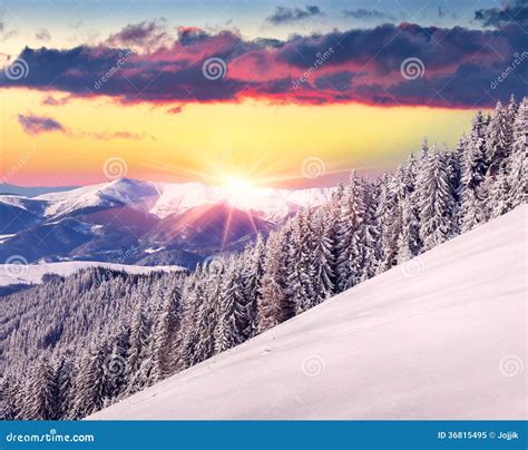 Beautiful Winter Sunrise In Mountains Stock Image Image Of Idyllic