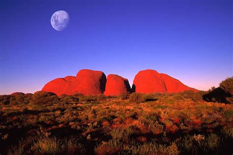 Emu Run Uluru And Kata Tjuta 1 Day Tour Save 25 On Night Stay
