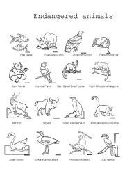 13 Best Images of Zoo Activity Worksheets For Elementary - Zoo Animal