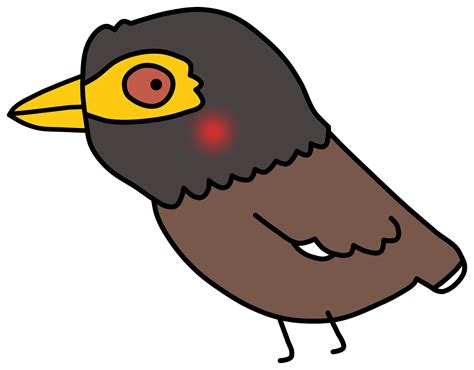 Maina Bird Clipart Cartoon