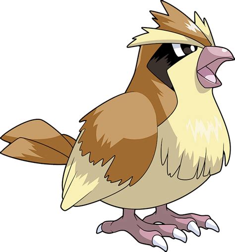 Pidgey Pokédex Stats Moves Evolution Locations And Other Forms