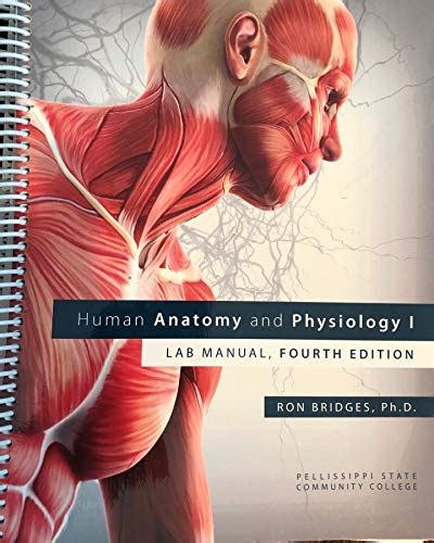 Human Anatomy And Physiology I Lab Manual Fourth Edition Ron