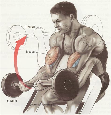 Biceps Workout Tips Best Workout For Biceps Bodybuilding And Fitness Zone