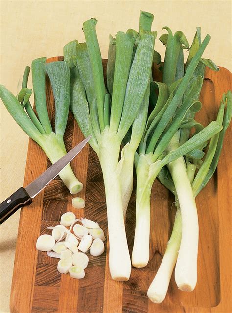 A long, thin, green and white onion that is often eaten uncooked 2. Leeks: Onion Family, Mild Flavor, Great for Cooking
