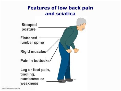 Back muscles, like any other muscle in the body, require adequate exercise to maintain strength and tone. Bloomsbury Health Centre » Acute Lower Back Muscular Spasm ...