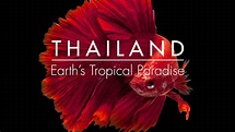 Download Thailand: Earth's Tropical Paradise S01E01 [BBC 1080p HEVC ...